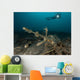 Ornate Ghost Pipefish amongst Wall Decal Design 1