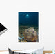 Diver Looks Giant Stonefish Wall Decal Design 2