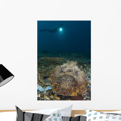 Diver Looks Giant Stonefish Wall Decal Design 2 shown on a wall