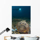 Diver Looks Giant Stonefish Wall Decal Design 2