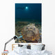 Diver Looks Giant Stonefish Wall Decal Design 2