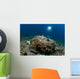 Diver Looks Giant Stonefish Wall Decal Design 1
