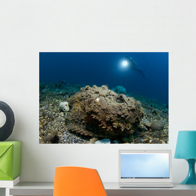 Diver Looks Giant Stonefish Wall Decal Design 1 shown on a wall