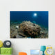 Diver Looks Giant Stonefish Wall Decal Design 1
