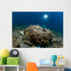 Diver Looks Giant Stonefish Wall Decal Design 1