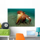 Coconut Octopus Lembeh Strait Wall Decal Design 12