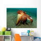 Coconut Octopus Lembeh Strait Wall Decal Design 12