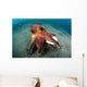 Coconut Octopus Lembeh Strait Wall Decal Design 11