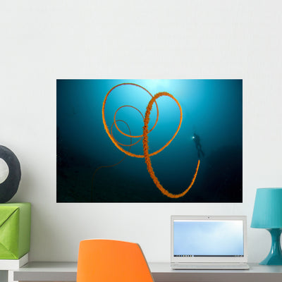 Orange Wire Coral Lembeh Wall Decal shown on a wall