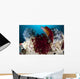 Diana's Hogfish Swimming between Wall Decal