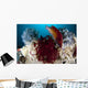 Diana's Hogfish Swimming between Wall Decal