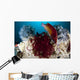 Diana's Hogfish Swimming between Wall Decal