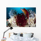 Diana's Hogfish Swimming between Wall Decal