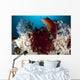 Diana's Hogfish Swimming between Wall Decal