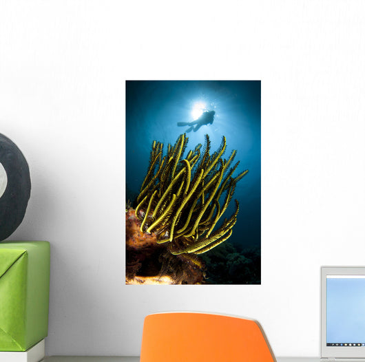 Black and Yellow Crinoid Wall Decal
