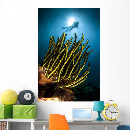 Black and Yellow Crinoid Wall Decal