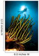 Black and Yellow Crinoid Wall Decal