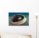 Coconut Octopus Lembeh Strait Wall Decal Design 6