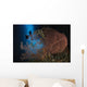 Diver Descends Cavern above Wall Decal