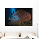 Diver Descends Cavern above Wall Decal