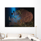 Diver Descends Cavern above Wall Decal