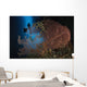 Diver Descends Cavern above Wall Decal