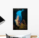 Diver Looks into Cavern Wall Decal