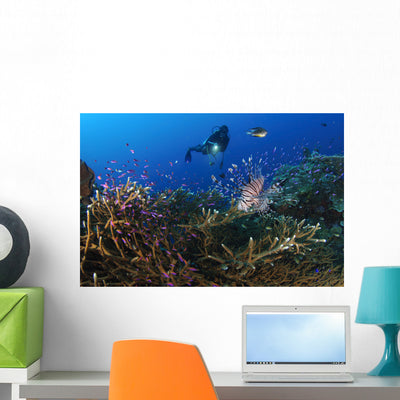 Diver Looks Lionfish Hovering Wall Decal shown on a wall