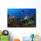 Diver Looks Lionfish Hovering Wall Decal