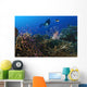 Diver Looks Lionfish Hovering Wall Decal