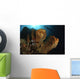 Large Sponge with Diver Wall Decal