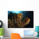 Large Sponge with Diver Wall Decal