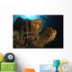 Large Sponge with Diver Wall Decal