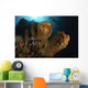 Large Sponge with Diver Wall Decal