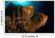 Large Sponge with Diver Wall Decal