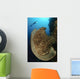 Salvador Dali Sponge with Wall Decal Design 10