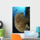 Salvador Dali Sponge with Wall Decal Design 10