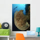 Salvador Dali Sponge with Wall Decal Design 10