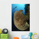 Salvador Dali Sponge with Wall Decal Design 10