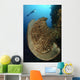 Salvador Dali Sponge with Wall Decal Design 10