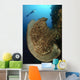Salvador Dali Sponge with Wall Decal Design 10