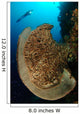 Salvador Dali Sponge with Wall Decal Design 10