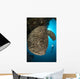 Salvador Dali Sponge with Wall Decal Design 9