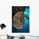 Salvador Dali Sponge with Wall Decal Design 9