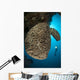 Salvador Dali Sponge with Wall Decal Design 9