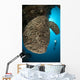 Salvador Dali Sponge with Wall Decal Design 9