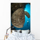 Salvador Dali Sponge with Wall Decal Design 9