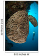 Salvador Dali Sponge with Wall Decal Design 9
