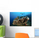 Salvador Dali Sponge with Wall Decal Design 8