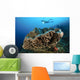 Salvador Dali Sponge with Wall Decal Design 8
